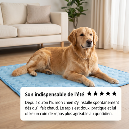 FreshPaw™ – Tapis Rafraîchissant pour Chiens et Chats