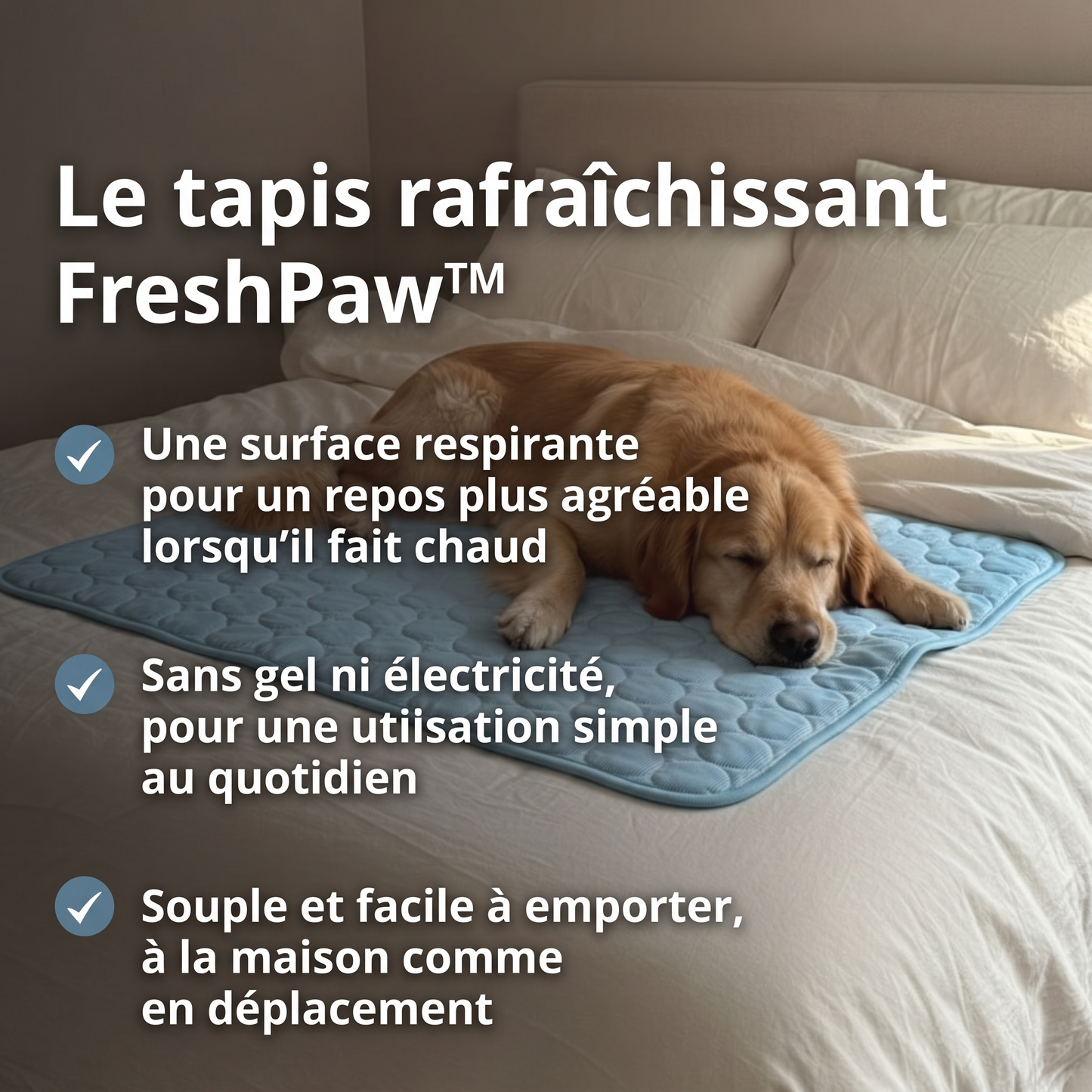 FreshPaw™ – Tapis Rafraîchissant pour Chiens et Chats