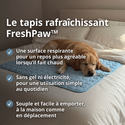 FreshPaw™ – Tapis Rafraîchissant pour Chiens et Chats