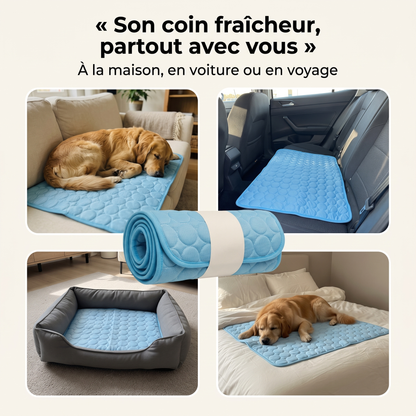 FreshPaw™ – Tapis Rafraîchissant pour Chiens et Chats