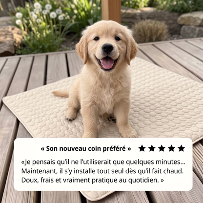 FreshPaw™ – Tapis Rafraîchissant pour Chiens et Chats