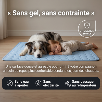 FreshPaw™ – Tapis Rafraîchissant pour Chiens et Chats