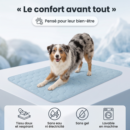FreshPaw™ – Tapis Rafraîchissant pour Chiens et Chats