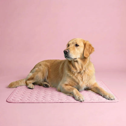 FreshPaw™ – Tapis Rafraîchissant pour Chiens et Chats