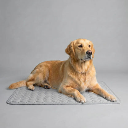 FreshPaw™ – Tapis Rafraîchissant pour Chiens et Chats