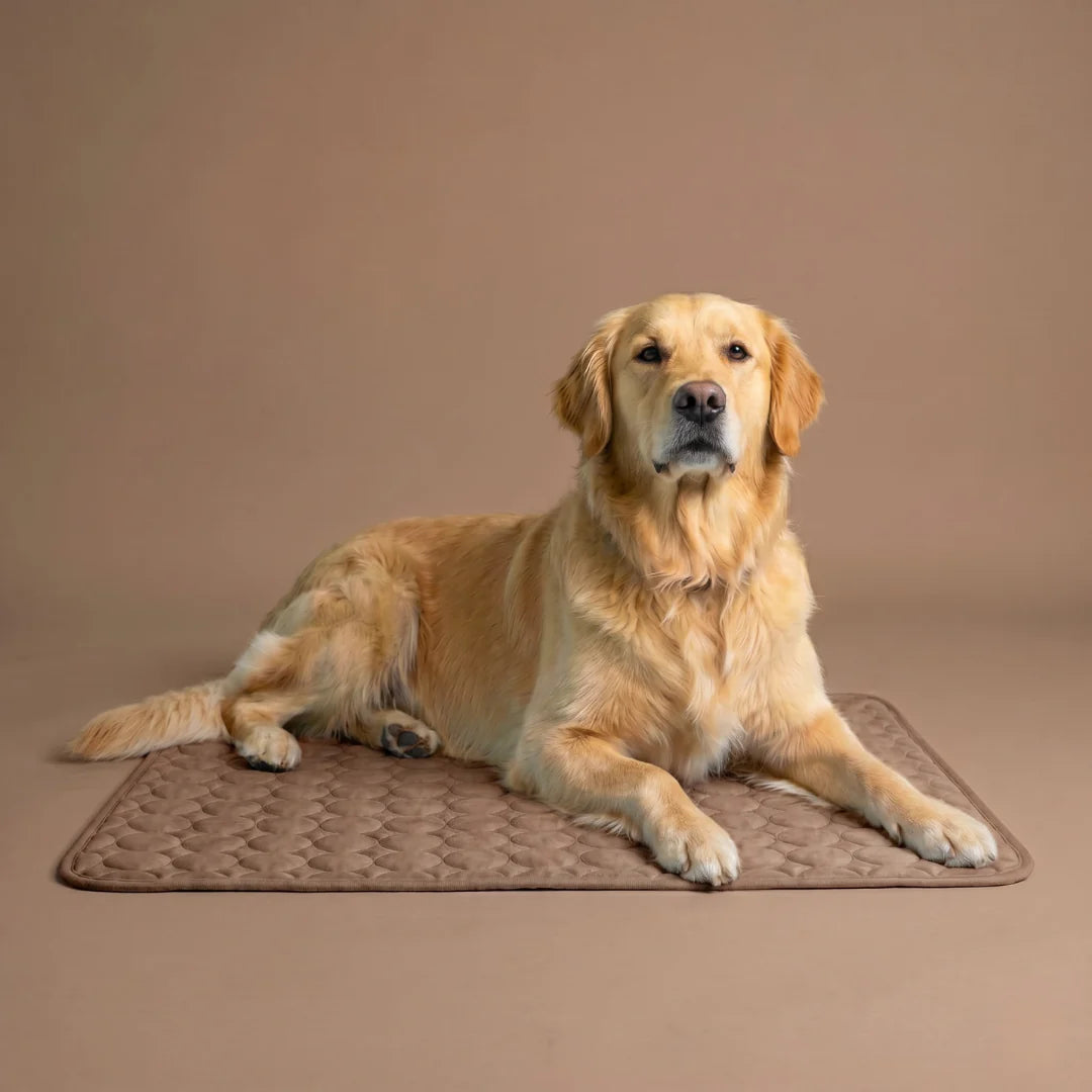 FreshPaw™ – Tapis Rafraîchissant pour Chiens et Chats